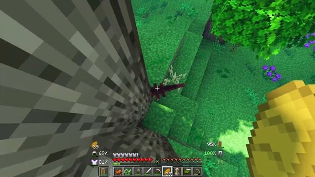 Better Minecraft PLUS EP2 Adventuring But I Die смотреть онлайн