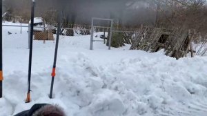 [Инвентарь садовника] Сравнение высотных секаторов FISKARS vs GARDENA