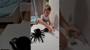 Большой ОБЗОР. Паук 🕷 Spider 🕷 радиоуправляемый. Крутой Паук, как настоящий. Spider на пульте. Лайк