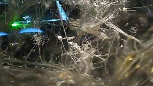 Выставка Жизнь версия науки смотреть онлайн