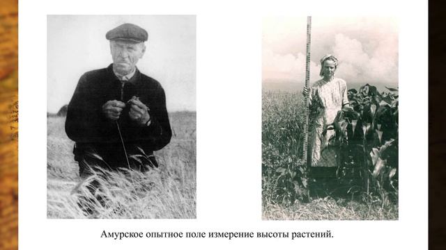 История метеорологии. Вклад метеорологов в освоение дальнего востока. Приамурьметео (2014).movie.mp4