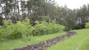 Покатушки по лесу на Иж планете 2 и альфе 110 кубов