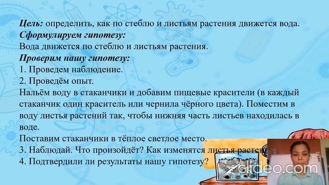 Естествознание  Планирование и проведение эксперимента