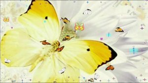 С Днем Ангела, Наташенька! С Днем святой Натальи Овсяницы!