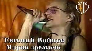 Евгений Войнов - Мирно дремлет
