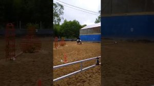 Соревнования.||Был хоббихорсинг?||