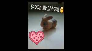 [рубрика А-ну-ка-давай-ка❤️! от подписчиков А-ну-ка-давай-ка кто не попал в арты💞]