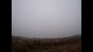 Коллективная охота на шакала с гончими
