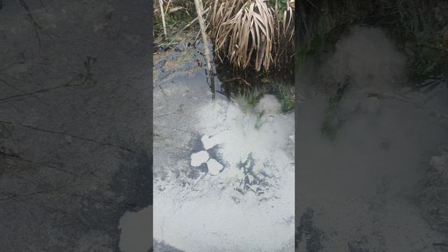 Джерело Нафтуся біля села Степанівка що на Хмельниччині смотреть онлайн