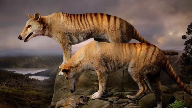 ШОК! КЛОНИРОВАНИЕ ДРЕВНИХ ЖИВОТНЫХ...ТОП 10