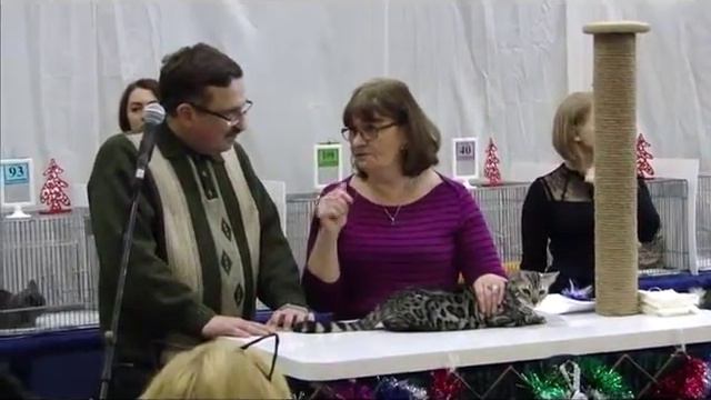 Вторая выставка Лапочки, 5-6 января 2017, Екатеринбург смотреть онлайн