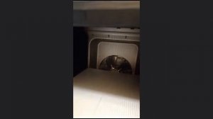 Приготовила пастилу Kitfort KT-1908