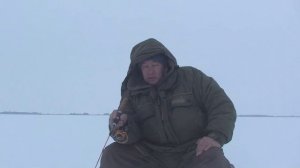 СУДАК и БЕРШ на РАТТЛИНЫ и ТЮЛЬКУ. (Кама. Красный Бор. 31.01.2022г) Моя рыбалка в Глухозимье.