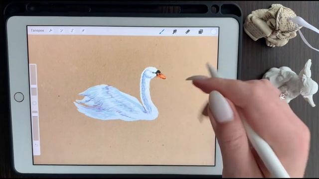 Как нарисовать птицу | Animal art
