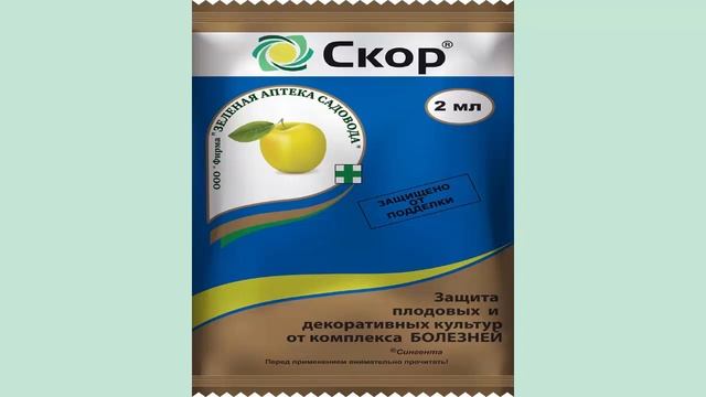 Обработка клубники после сбора урожая. Чем опрыскивать клубнику от клеща и от болезней.