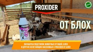 Безопасное уничтожение вшей и блох у животных с помощью препаратов PROXIDER