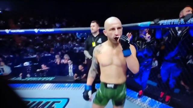 бой Махачева и Волкановски смотреть онлайн