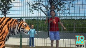 тигр откусил руку 11 летнему мальчику в бразилском зоопарке в августе 2014 года