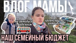 Наш семейный бюджет | Организация аптечки | На автобусе с ребёнком | Влог мамы (99)