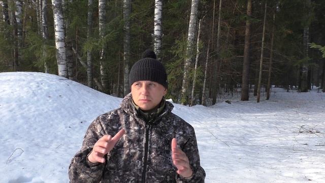 Тетерев на току. Охота на тетерева на току 2021. Поиск тока.