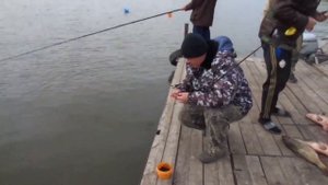 Рыбалка в Астрахани.Река Кизань. Апрель,вобла.База  Надежда .