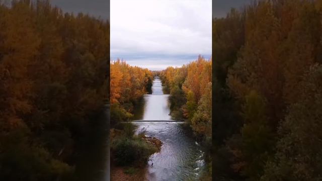 Золотая осень #золотаяосень #река #осень #ноябрь #природа