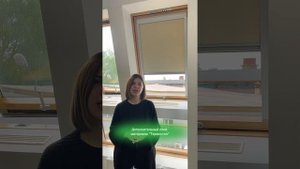 Зачем нужны шторы для мансардных окон? (Читайте в описании)