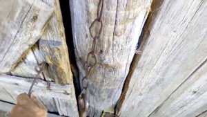 ЛОВУШКА ДЛЯ КРЫСЫ. Кошкам в помощь.