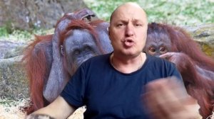 Анекдот "Чей Карабах" ???