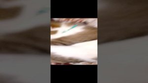 1000009556.mp4