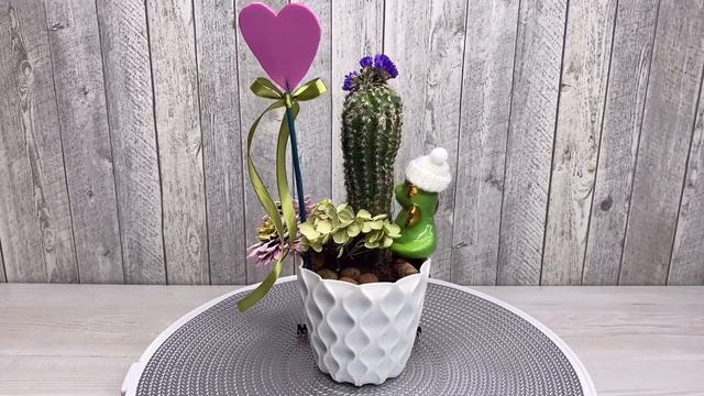 Композиция из кактуса в кашпо смотреть онлайн