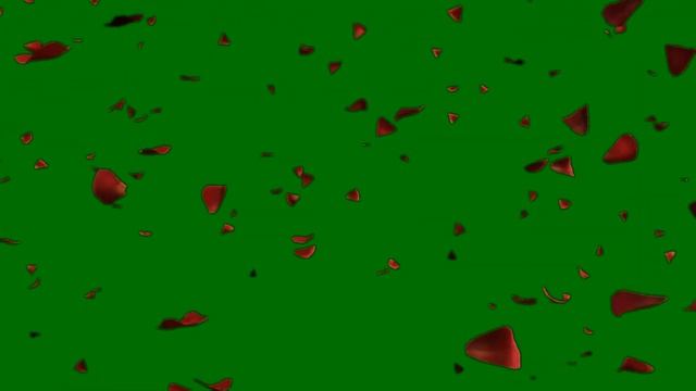 Футаж HD. Лепестки роз - на хромакее смотреть онлайн