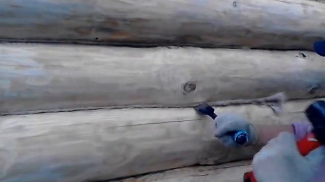 Правильная конопатка сруба