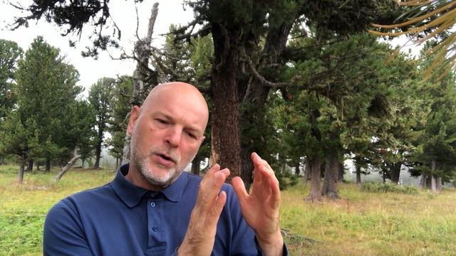 Как подготовится к началу нового дела. смотреть онлайн