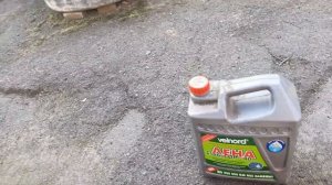 Мой выбор антифриза на  автомобиль ВАЗ 2115