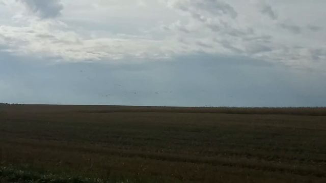 Журавли осень 04.09.2019 отправка ирбейский район смотреть онлайн