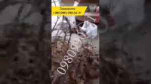 Измельчитель веток 50 мм Одновальный