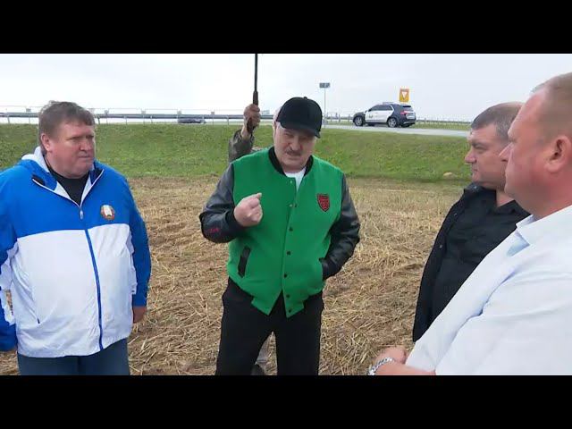 Лукашенко: "Ты гарантируешь, что на этом поле будет то, что мы хотим - тут море травы???"