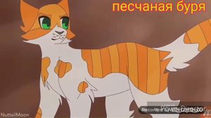 (Листопад)~коты воители-клип~(слеза)