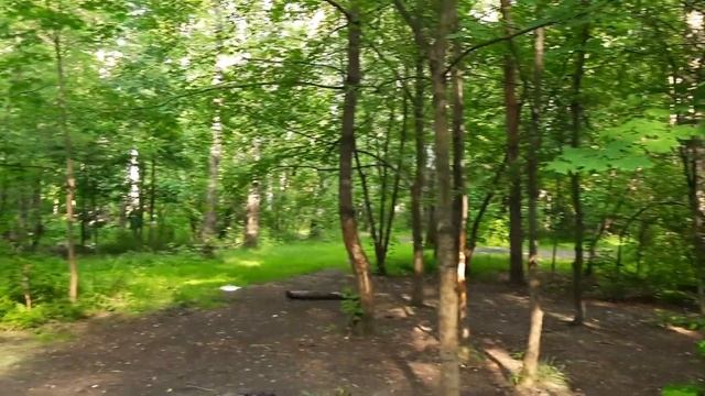 Пикниковая зона в Измайловском лесопарке смотреть онлайн