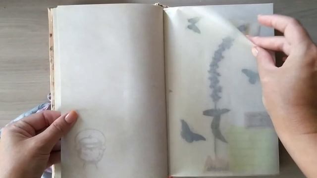 Идеи для гербария. смотреть онлайн