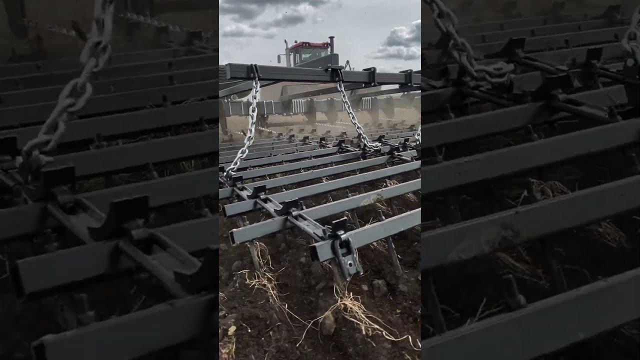 Закрываем влагу шлейф-бороной на Алтае. VELES БЗШ-18 #shorts #veles #сельскоехозяйство #фермер смотреть онлайн