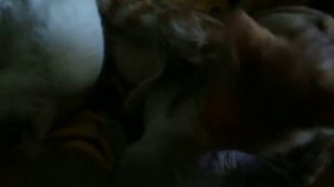 Крепкая мужская дружба!