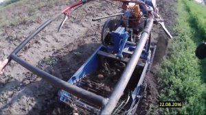 Копаю картофель транспортерной копалкой (видео клиента)