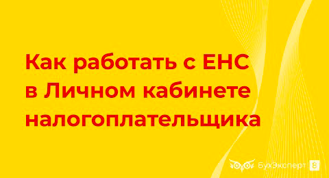Как работать с ЕНС в Личном кабинете налогоплательщика на сайте ФНС с 2023 года