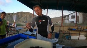 Крым. Мидийно-устричная ферма Биссус на Меганоме,17 августа 2021