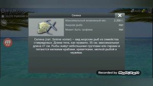 My Fishing World #15 // Рыбалка на РАЙСКОМ ОСТРОВЕ // Достиг 19-го уровня.