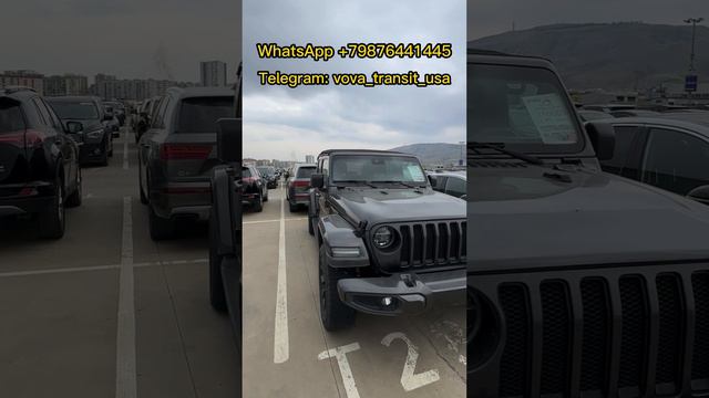 #автоподбор #автосша #автоизсша #автоизгрузии #автоподзаказ #купитьавтовгрузии