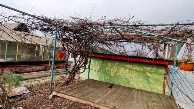 Первый обзор нашей новой "усадьбы"! смотреть онлайн