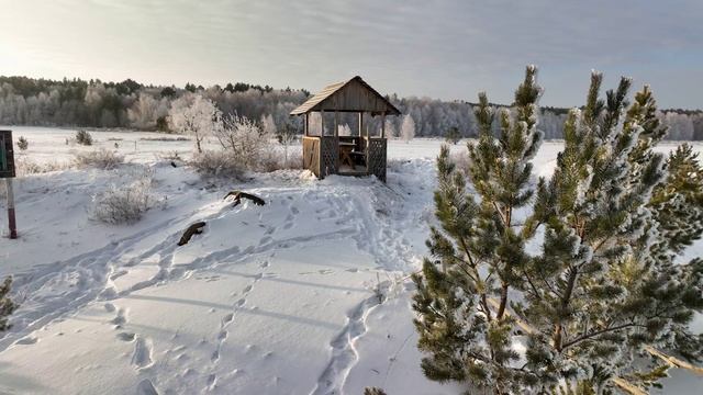 Акколь - Зимний лес - Рассвет